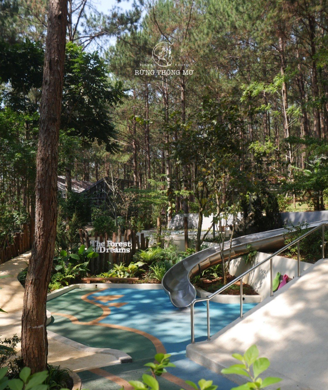 Playground surface weaving between pines