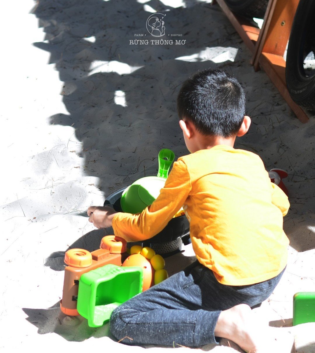 Timber-rimmed sand pit