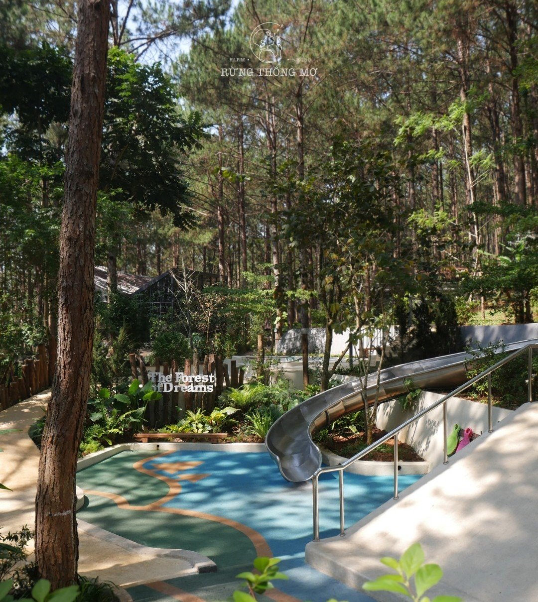 Stainless slide in canopy shade