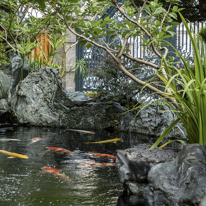 The Retreat Garden